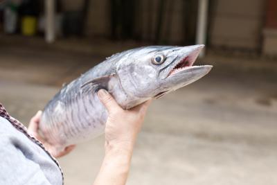 Le wahoo