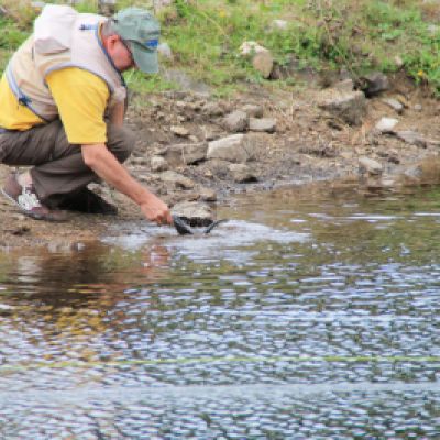 Canabalios Fishing