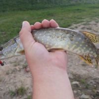 Thomas Chidambar Chevalier