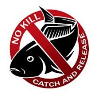 NO KILL