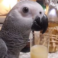 Christophe.poupard1___d