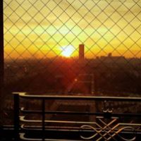 Pécheur de carpes a Limay