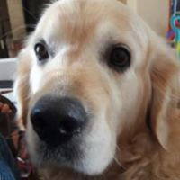 bonneau.richard36___d