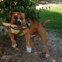 Xavier Freecarpefishing