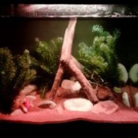 guillaumejenniferdassie