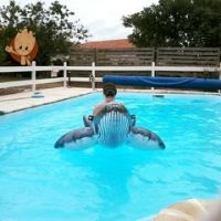 Stephanie Gorka Julian