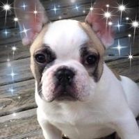 Benoît Muriel Lagarde