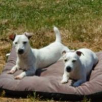 Virginie Cedric Defond