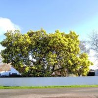 Chantal Martin Aquaire