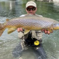 Les panthères des Pyrénées 