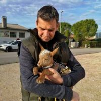 Philippe Dejonckheere