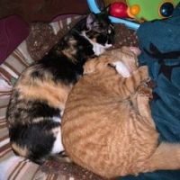 Delphine Charbonnier