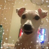 Emilie Romain Dabkowski