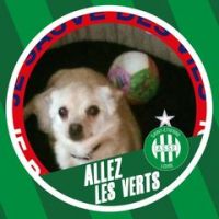 Remi Rivet Green Angels