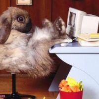 Sébastien Lantenois