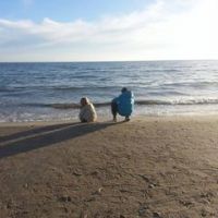 Sonia Thierry Fleur Renaud