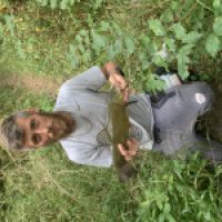 Crazy carnassiers 77 (balric)