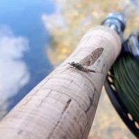 Jean-Michel Ravailhe