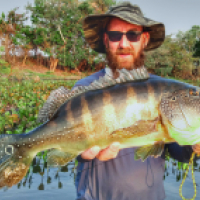 JEAN RENE DENNETIERE