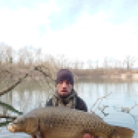Romain