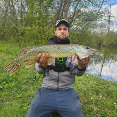 Jamy fish