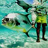Voyages de pêche